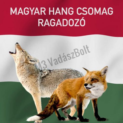 Foxpro hanghívó programozás, magyar hangokkal, kis csomag