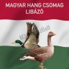 Foxpro hanghívó programozás, magyar hangokkal, kis csomag